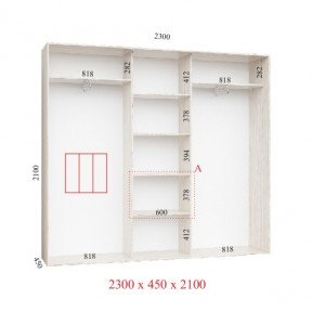 Шафа-купе 2300*450(600)*2100(2250,2400) Стандарт Фенікс