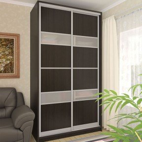 Шафа-купе 1200*450(600)*2200(2400) Стандарт Віп Мастер