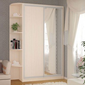 Шафа-купе 1100*450(600)*2200(2400) Стандарт Віп Мастер