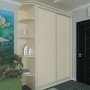 Шафа-купе 1500*450(600)*2200(2400) Стандарт Віп Мастер