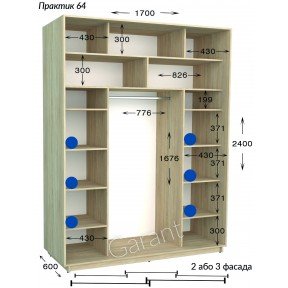 Шафа-купе Практик 64/2 1700*450(600)*2200(2400)