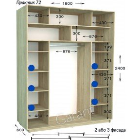 Шафа-купе Практик 72/2 1800*450(600)*2200(2400)
