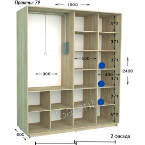 Шафа-купе Практик 79 1900*450(600)*2200(2400)