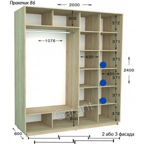 Шафа-купе Практик 86/2 2000*450(600)*2200(2400)