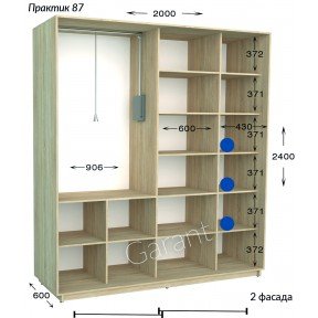 Шафа-купе Практик 87 2000*450(600)*2200(2400)