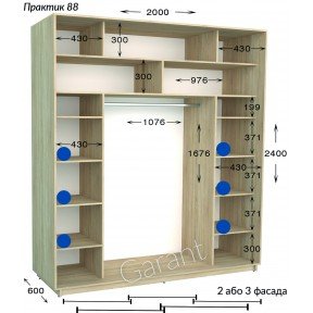 Шафа-купе Практик 88/2 2000*450(600)*2200(2400)