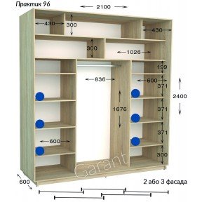Шафа-купе Практик 96/3 2100*450(600)*2200(2400)