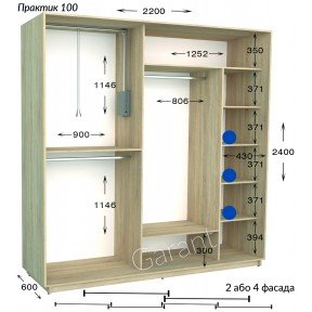 Шафа-купе Практик 100/2 2200*450(600)*2200(2400)