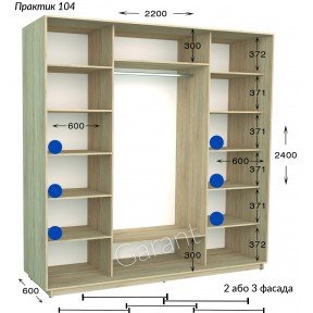 Шафа-купе Практик 104/2 2200*450(600)*2200(2400)