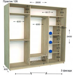 Шафа-купе Практик 126 2500*450(600)*2200(2400)