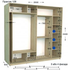 Шафа-купе Практик 128/3 2500*450(600)*2200(2400)