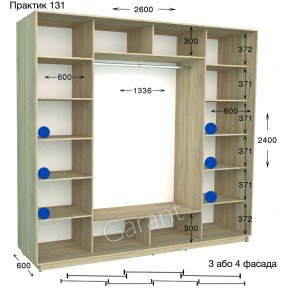 Шафа-купе Практик 131/4 2600*450(600)*2200(2400)