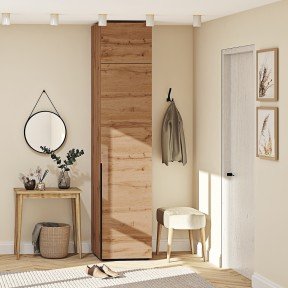 Шафа Flex Ф.40.1Д.Для одягу фасад матове ДСП + Антресоль