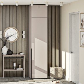 Шафа Flex Ф.50.1Д.Для одягу фасад матове ДСП + Антресоль