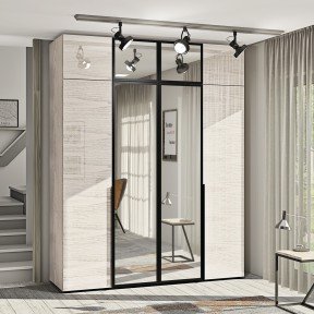 Шафа Flex Ф.200.4Д Для одягу ДСП фарбований глянець +Антресоль