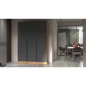 Шафа прасувальне відділення 3Д  C-17