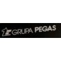 Grupa Pegas