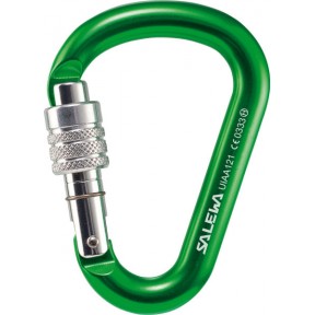 Карабін Salewa HMS Screw G2 Medium Green