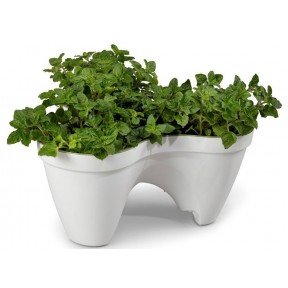 Горщик для квітів 7,5л. IVY Planter