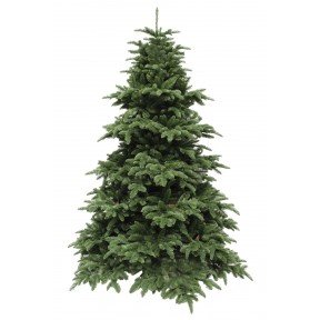 Ялина 2,15 м Abies Nordmann de Luxe зелена