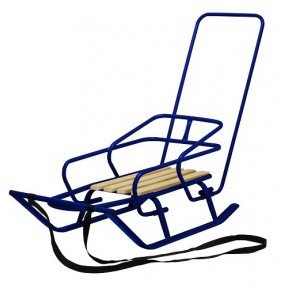 Санки зимові 