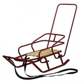 Санки зимові 