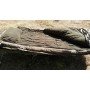 Карпова розкладачка Ranger BED 85 Kingsize Sleep RA5512