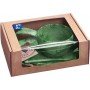 Набір туристичного посуду Kupilka GIFT BOX green