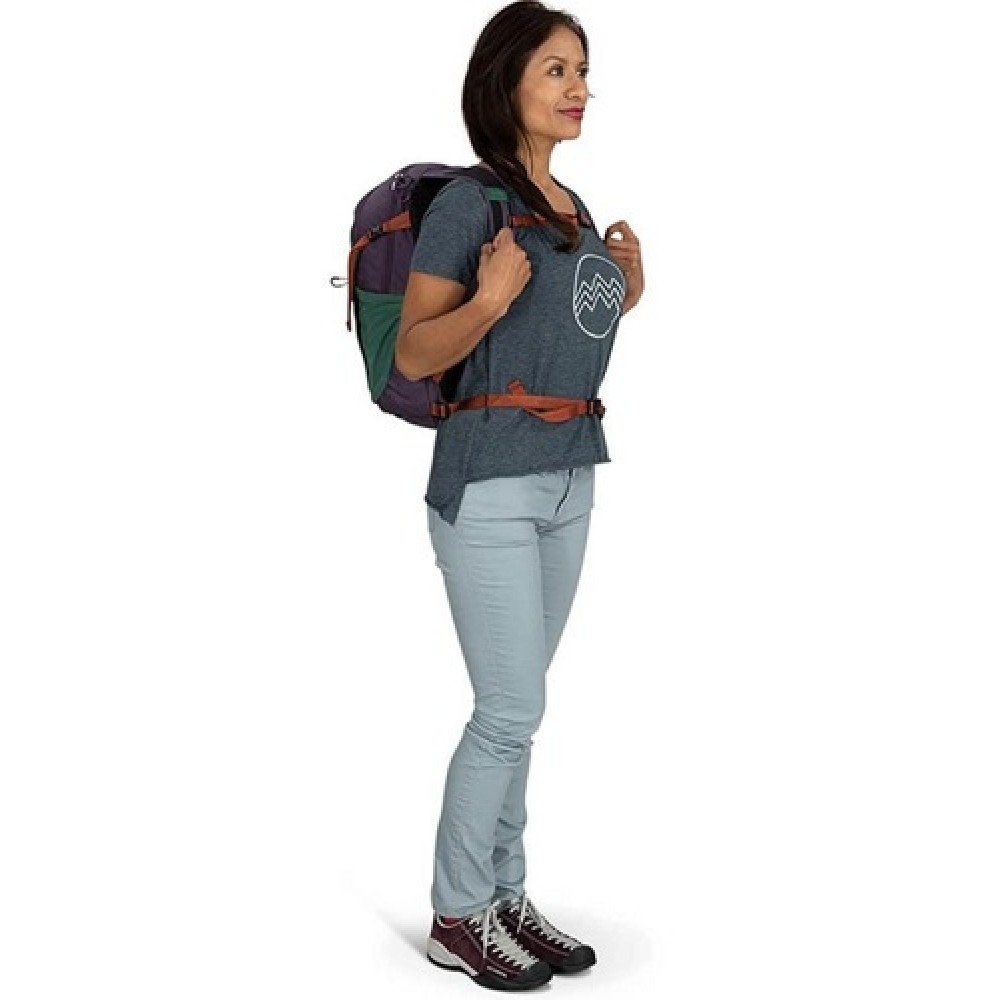 Рюкзак Osprey Daylite Plus axo green enchantment purple зелений фіолетовий