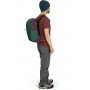 Рюкзак Osprey Daylite Plus axo green enchantment purple зелений фіолетовий